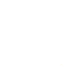 developimmo logo