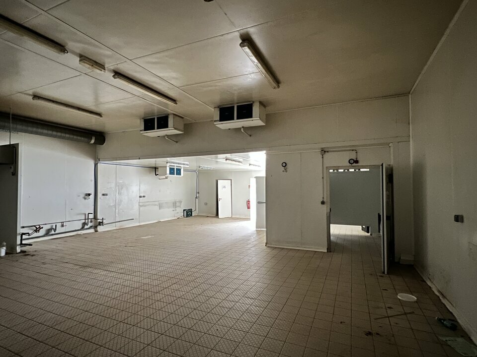 Local d'activité froid CAEN NORD Local d'activité froid CAEN NORD