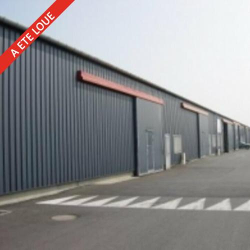 LOCAL D'ACTIVITE - GRENTHEVILLE - 225 m² - Photographie